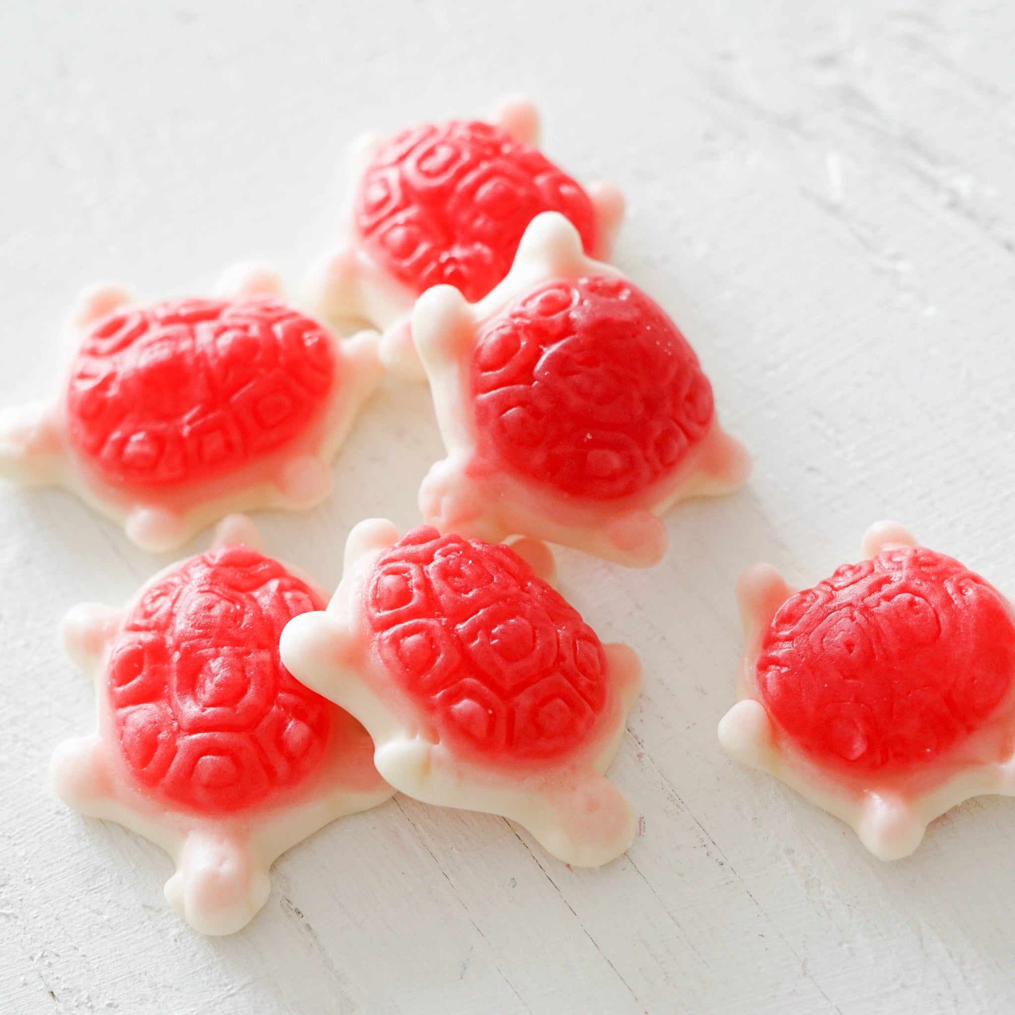 Bon Bon mini Sweet Mix - sea turtles