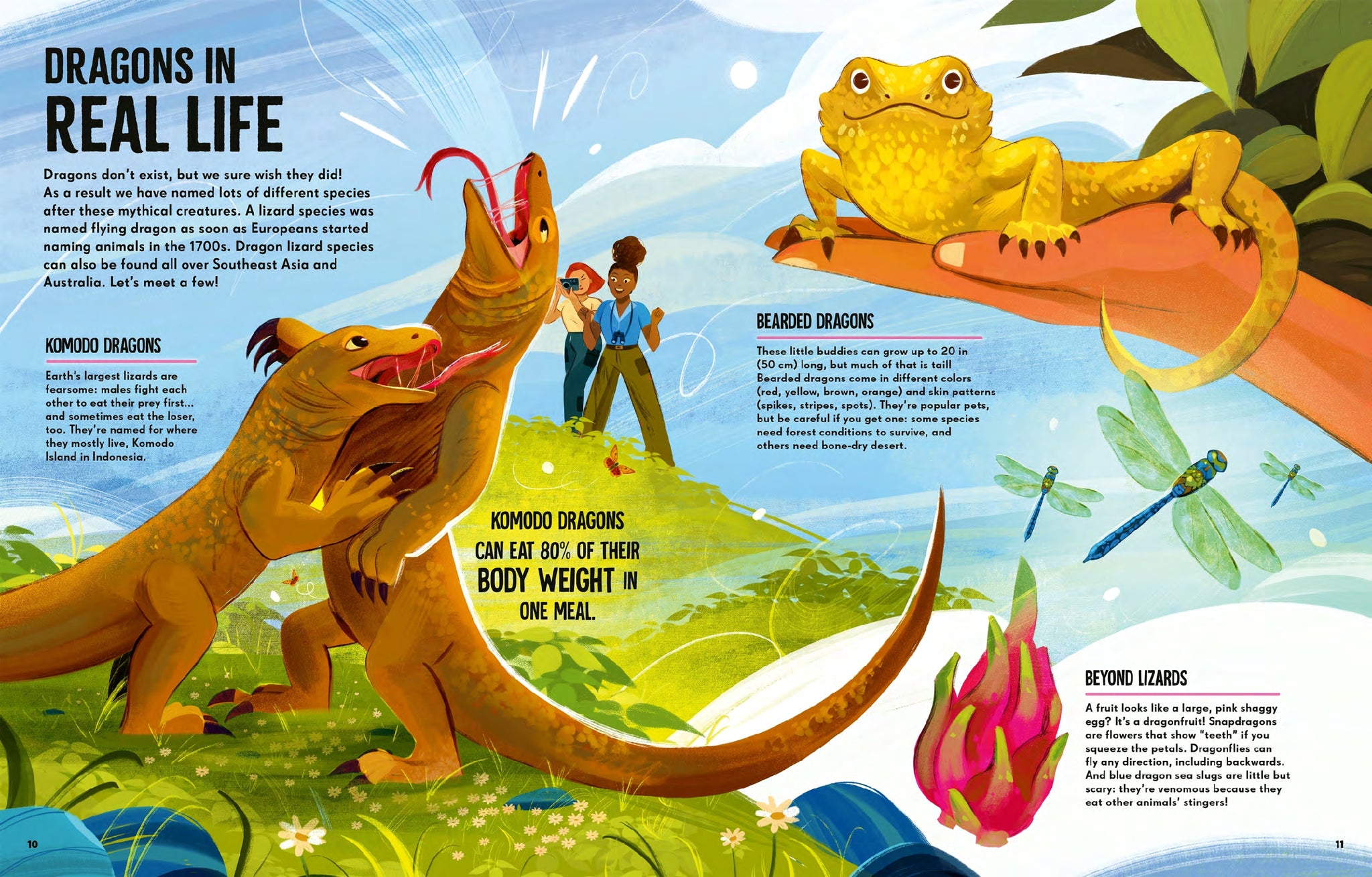 Dragons
